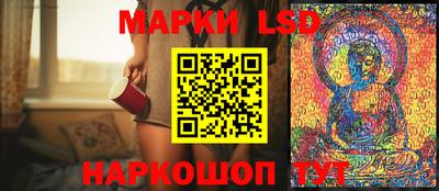 гидропоника Будённовск