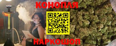 гидропоника Будённовск