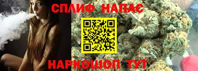 гидропоника Будённовск