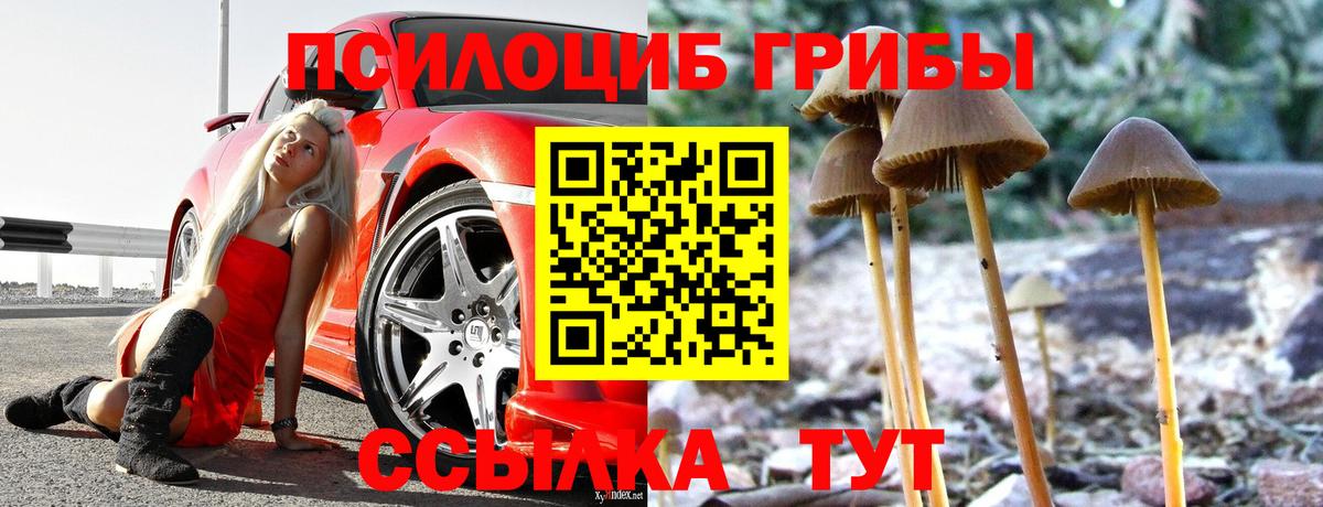 Галлюциногенные грибы ЛСД  Галлюциногенные грибы прущие грибы  Барабинск  Вход с VPN 